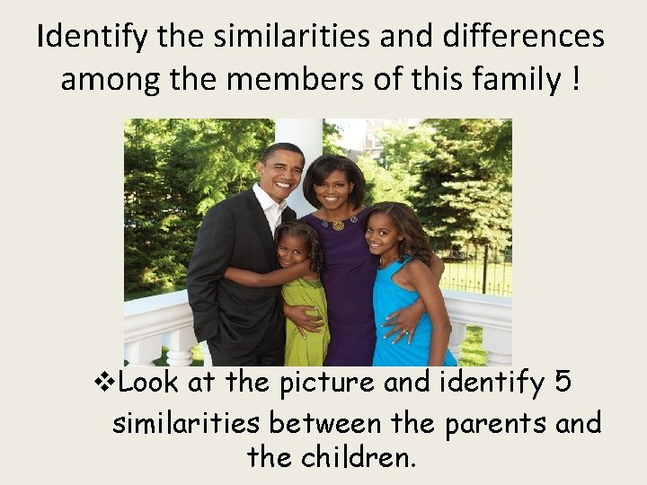 Identify the similarities and differences among the members of this family ! v. Look