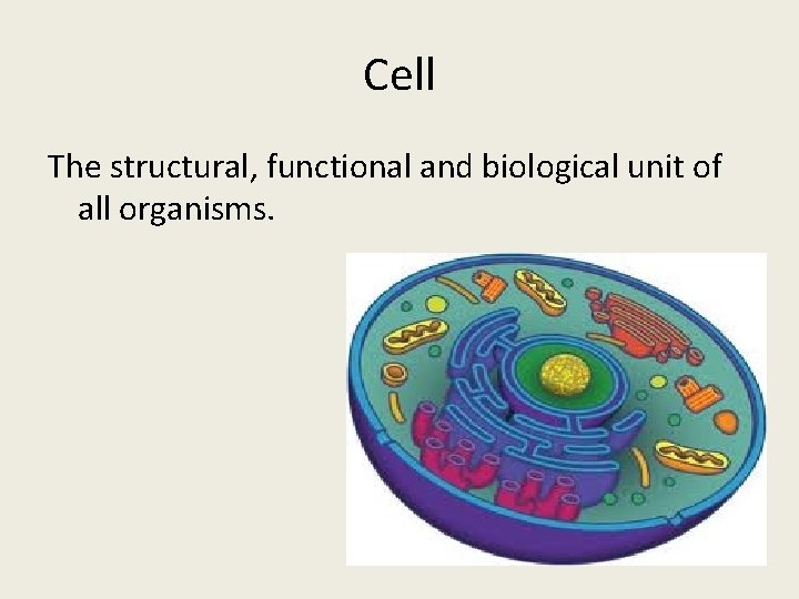 Cell The structural, functional and biological unit of all organisms. 
