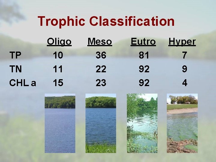 Trophic Classification TP TN CHL a Oligo 10 11 15 Meso 36 22 23