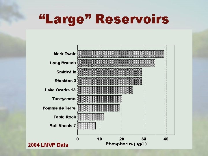 “Large” Reservoirs 2004 LMVP Data 