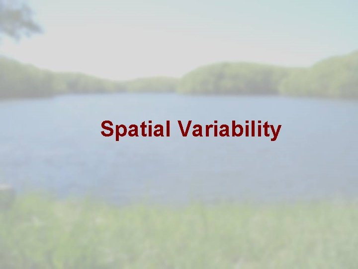 Spatial Variability 