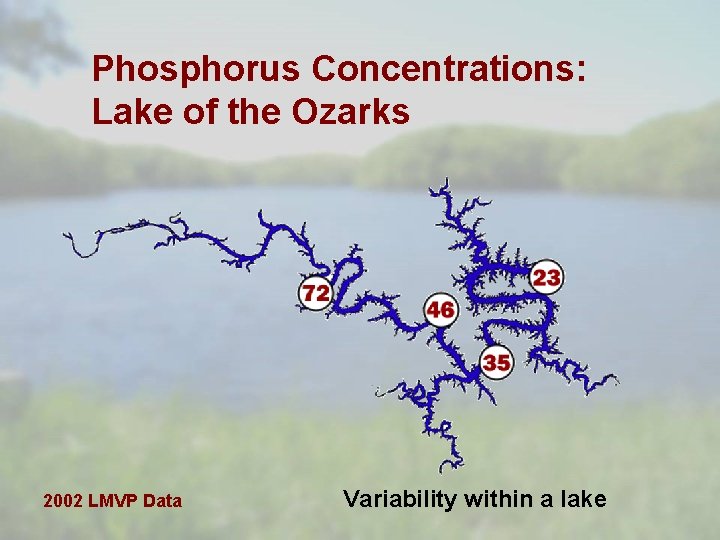 Phosphorus Concentrations: Lake of the Ozarks 2002 LMVP Data Variability within a lake 