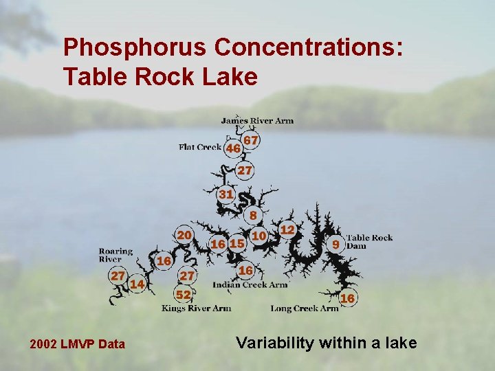 Phosphorus Concentrations: Table Rock Lake 2002 LMVP Data Variability within a lake 