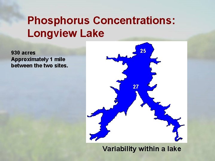 Phosphorus Concentrations: Longview Lake 25 930 acres Approximately 1 mile between the two sites.