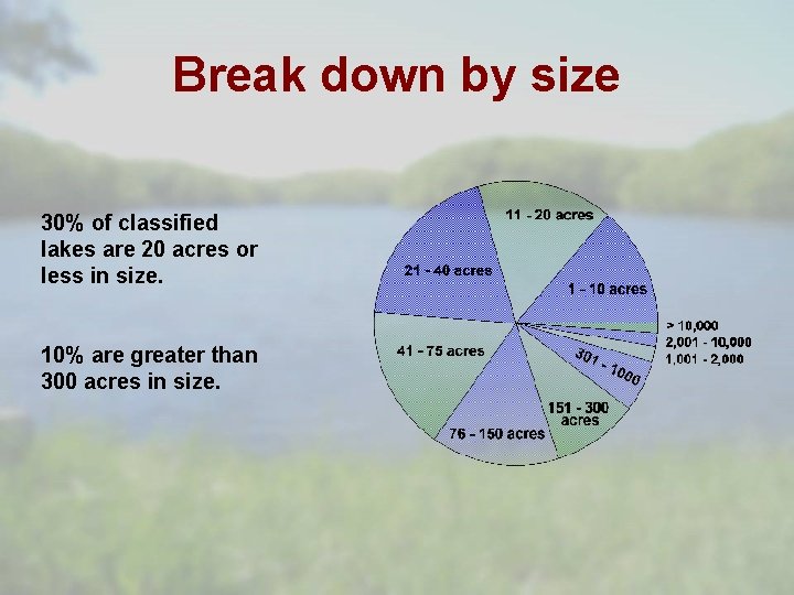 Break down by size 30% of classified lakes are 20 acres or less in