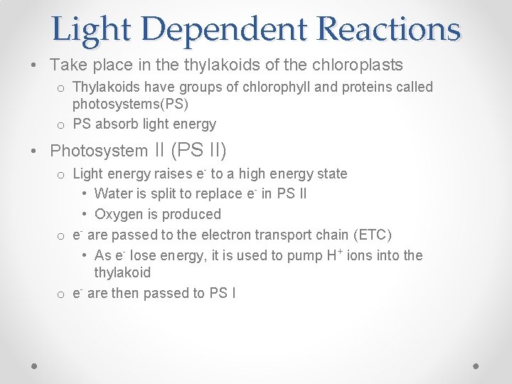 Light Dependent Reactions • Take place in the thylakoids of the chloroplasts o Thylakoids