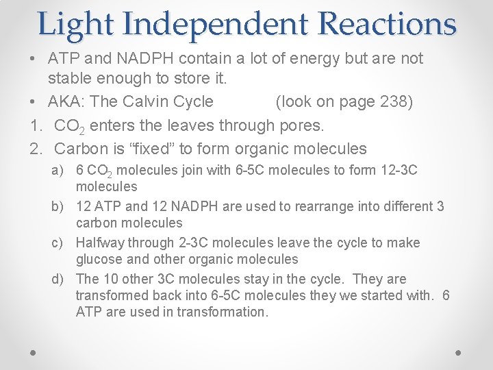 Light Independent Reactions • ATP and NADPH contain a lot of energy but are