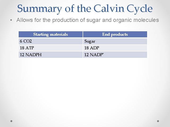 Summary of the Calvin Cycle • Allows for the production of sugar and organic