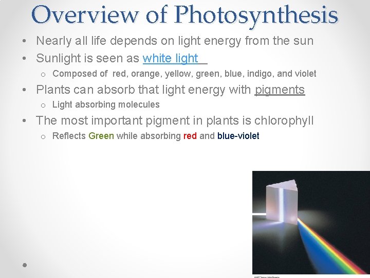 Overview of Photosynthesis • Nearly all life depends on light energy from the sun