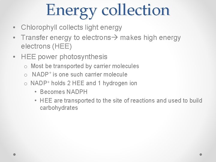 Energy collection • Chlorophyll collects light energy • Transfer energy to electrons makes high