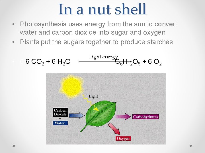 In a nut shell • Photosynthesis uses energy from the sun to convert water