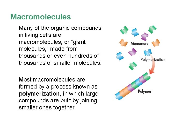 Macromolecules Many of the organic compounds in living cells are macromolecules, or “giant molecules,