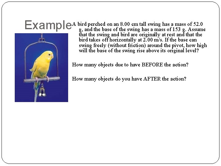 perched on an 8. 00 cm tall swing has a mass of 52. 0