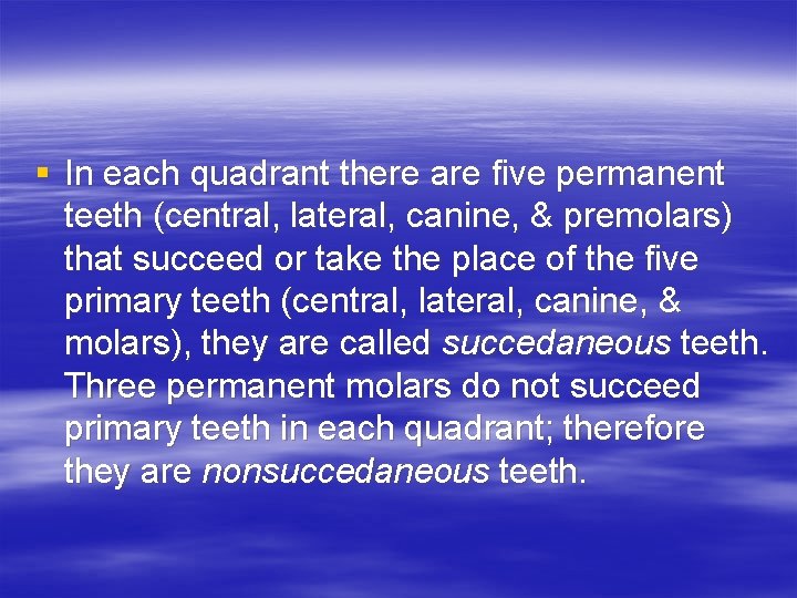 § In each quadrant there are five permanent teeth (central, lateral, canine, & premolars)