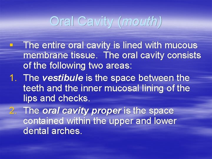 Oral Cavity (mouth) § The entire oral cavity is lined with mucous membrane tissue.