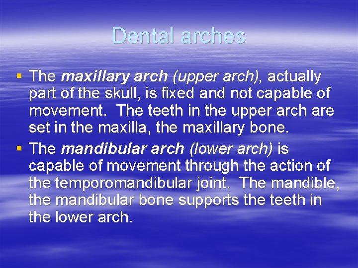 Dental arches § The maxillary arch (upper arch), actually part of the skull, is