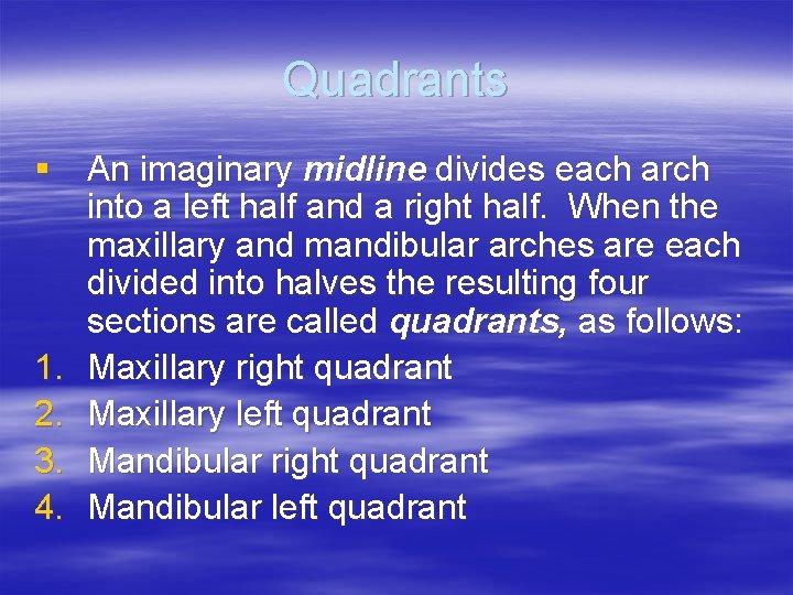 Quadrants § An imaginary midline divides each arch into a left half and a
