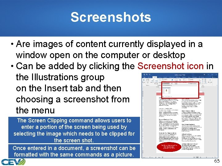 Screenshots • Are images of content currently displayed in a window open on the