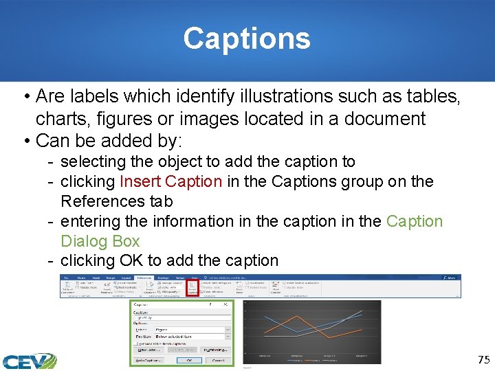 Captions • Are labels which identify illustrations such as tables, charts, figures or images