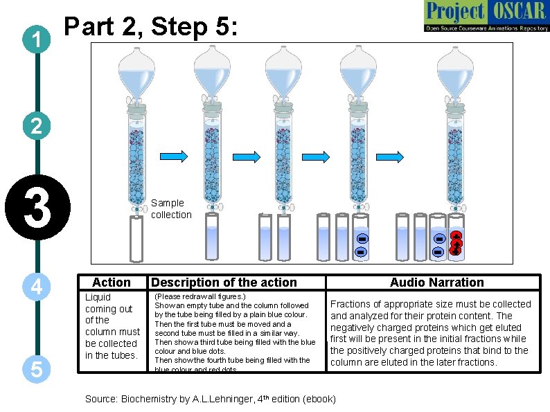 Part 2, Step 5: 1 2 3 4 5 Sample collection Action Liquid coming