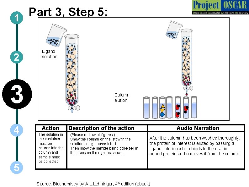 Part 3, Step 5: 1 2 Ligand solution 3 4 5 Column elution Action