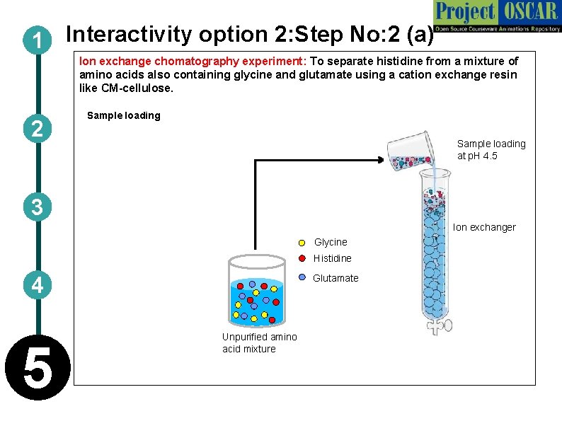 1 Interactivity option 2: Step No: 2 (a) Ion exchange chomatography experiment: To separate