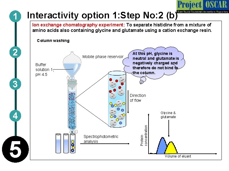 1 Interactivity option 1: Step No: 2 (b) Ion exchange chomatography experiment: To separate