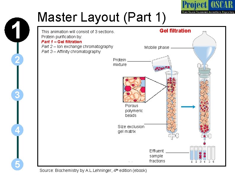 1 2 Master Layout (Part 1) Gel filtration This animation will consist of 3