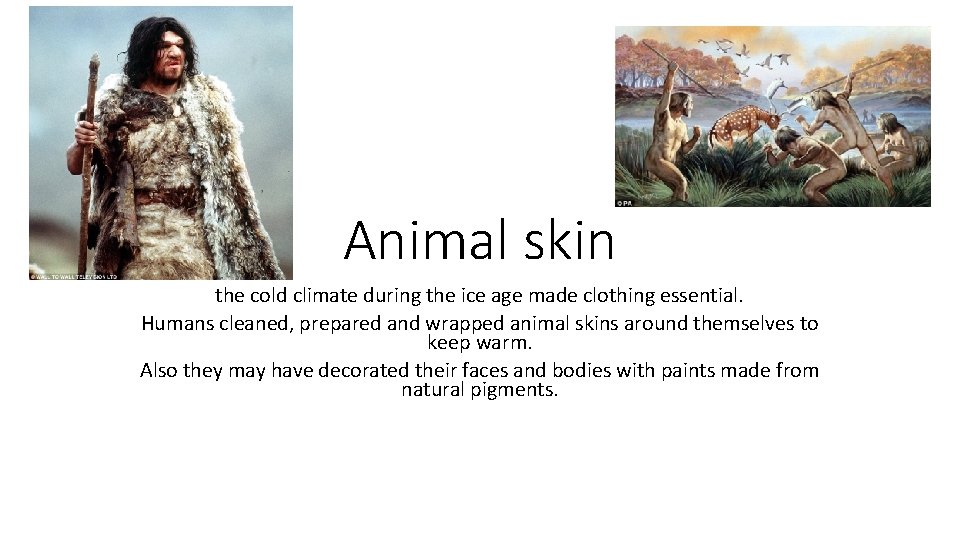 Animal skin the cold climate during the ice age made clothing essential. Humans cleaned,