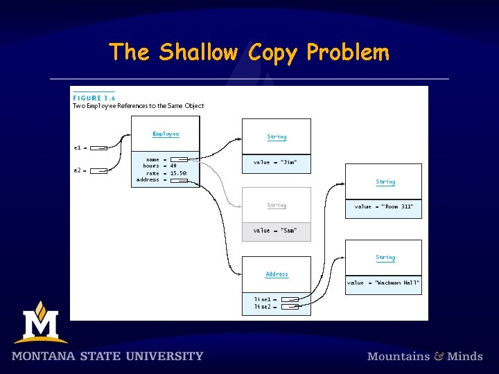 The Shallow Copy Problem 