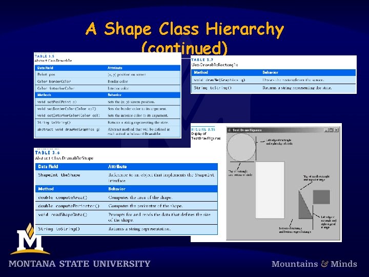 A Shape Class Hierarchy (continued) 
