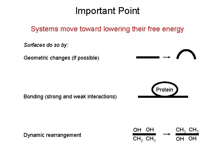 Important Point Systems move toward lowering their free energy Surfaces do so by: Geometric