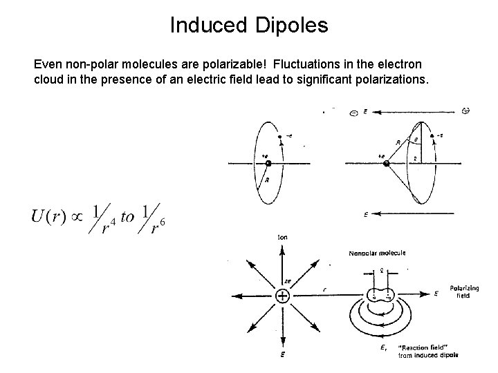 Induced Dipoles Even non-polar molecules are polarizable! Fluctuations in the electron cloud in the