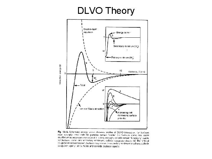 DLVO Theory 