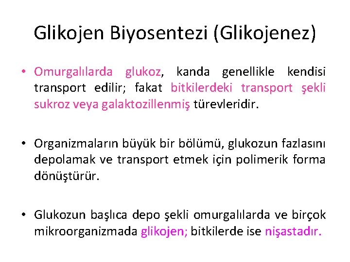 Glikojen Biyosentezi (Glikojenez) • Omurgalılarda glukoz, kanda genellikle kendisi transport edilir; fakat bitkilerdeki transport
