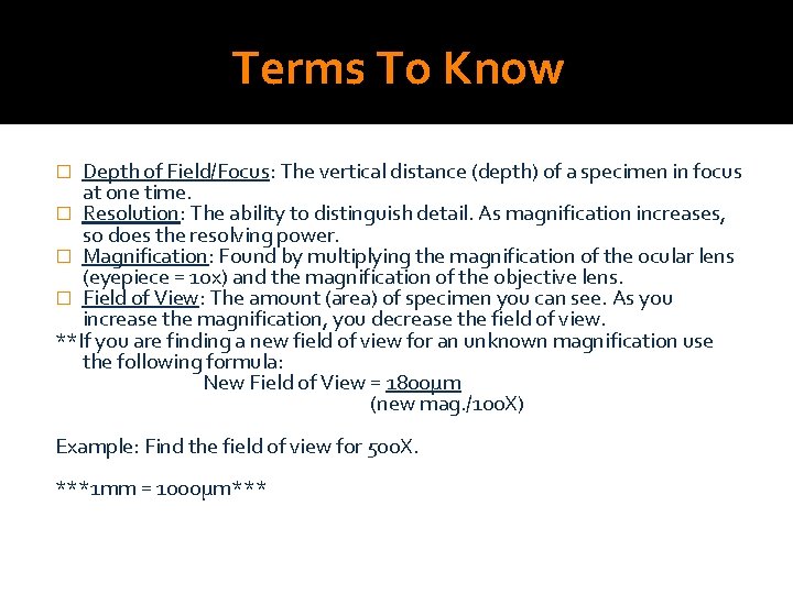 Terms To Know Depth of Field/Focus: The vertical distance (depth) of a specimen in
