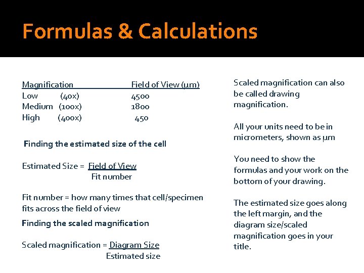 Formulas & Calculations Magnification Low (40 x) Medium (100 x) High (400 x) Field