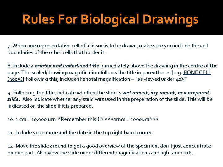 Rules For Biological Drawings 7. When one representative cell of a tissue is to