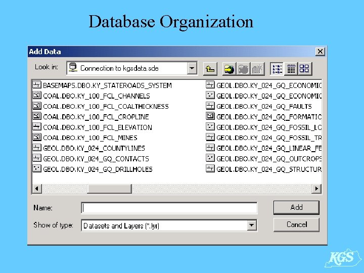 Database Organization 