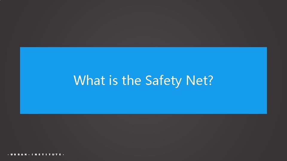 What is the Safety Net? 