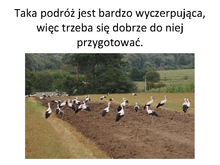 Taka podróż jest bardzo wyczerpująca, więc trzeba się dobrze do niej przygotować. 