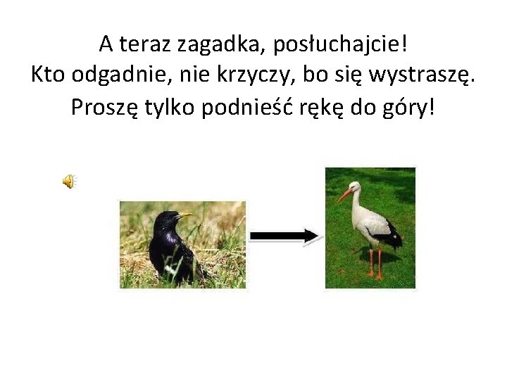 A teraz zagadka, posłuchajcie! Kto odgadnie, nie krzyczy, bo się wystraszę. Proszę tylko podnieść