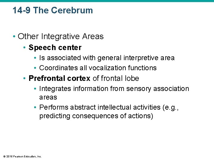 14 -9 The Cerebrum • Other Integrative Areas • Speech center • Is associated 14 -9 The Cerebrum • Other Integrative Areas • Speech center • Is associated