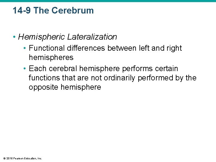 14 -9 The Cerebrum • Hemispheric Lateralization • Functional differences between left and right 14 -9 The Cerebrum • Hemispheric Lateralization • Functional differences between left and right