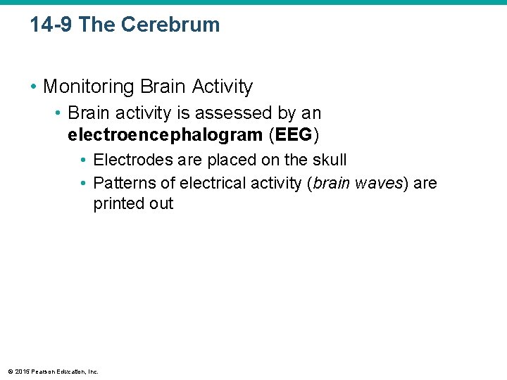 14 -9 The Cerebrum • Monitoring Brain Activity • Brain activity is assessed by 14 -9 The Cerebrum • Monitoring Brain Activity • Brain activity is assessed by