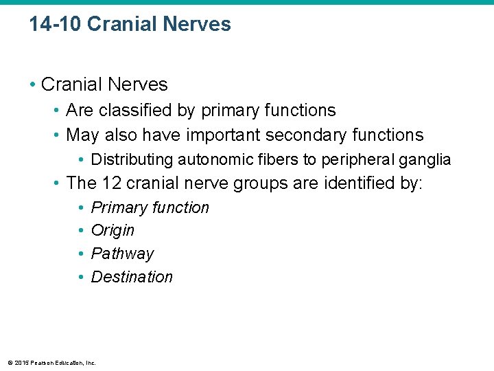 14 -10 Cranial Nerves • Are classified by primary functions • May also have 14 -10 Cranial Nerves • Are classified by primary functions • May also have