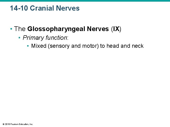 14 -10 Cranial Nerves • The Glossopharyngeal Nerves (IX) • Primary function: • Mixed 14 -10 Cranial Nerves • The Glossopharyngeal Nerves (IX) • Primary function: • Mixed
