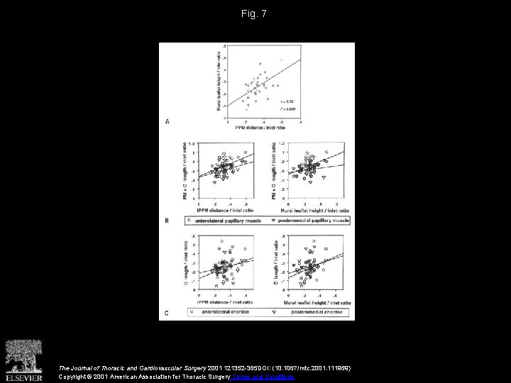 Fig. 7 The Journal of Thoracic and Cardiovascular Surgery 2001 121352 -365 DOI: (10.