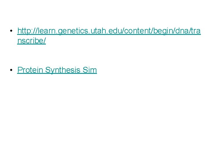  • http: //learn. genetics. utah. edu/content/begin/dna/tra nscribe/ • Protein Synthesis Sim 