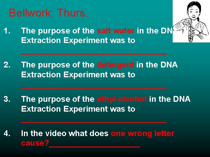Bellwork: Thurs. 1. The purpose of the salt water in the DNA Extraction Experiment